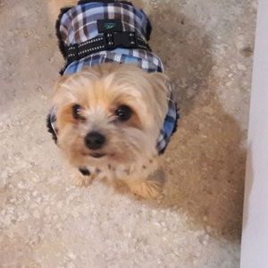 Meet your Posher, Lori